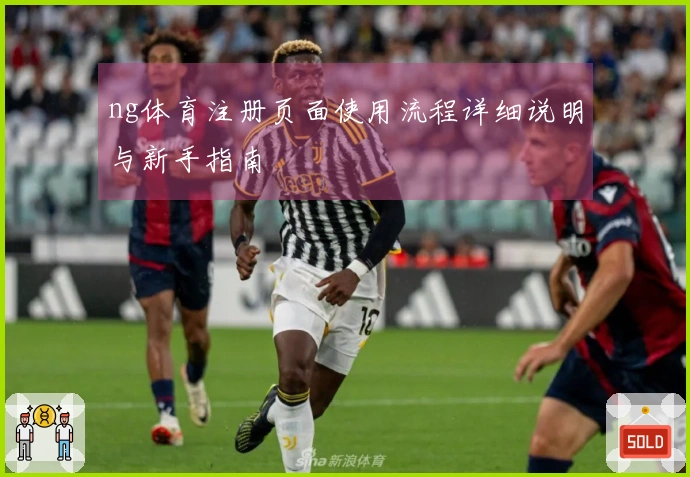 ng体育注册页面使用流程详细说明与新手指南