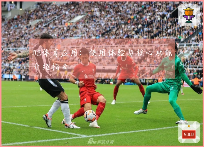 ng体育应用：使用体验与核心功能介绍指南