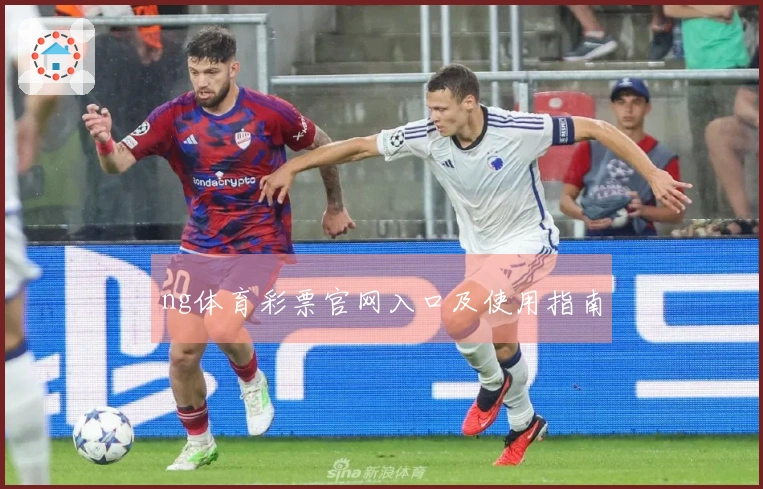 ng体育彩票官网入口及使用指南