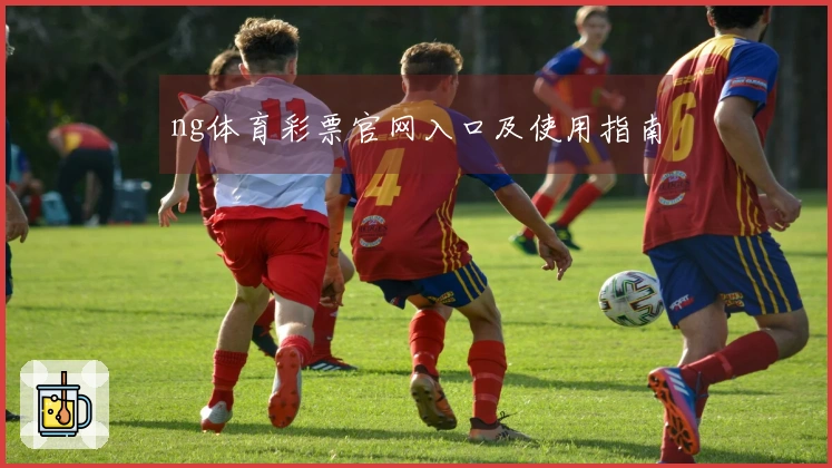 ng体育彩票官网入口及使用指南