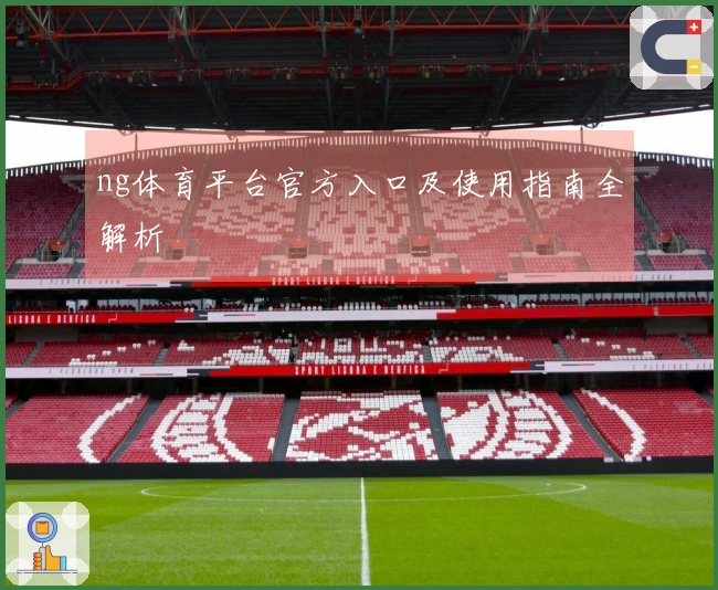ng体育平台官方入口及使用指南全解析